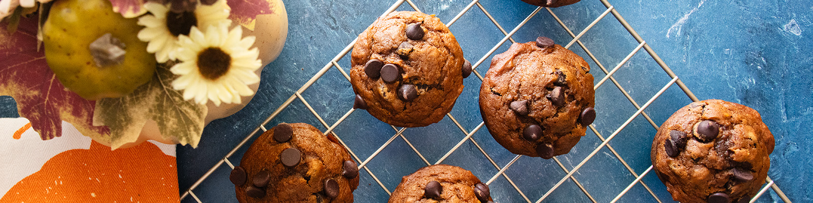 Pumpkin Chocolate Chip Muffins